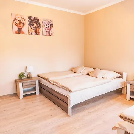 Latorliget Apartamento Saly